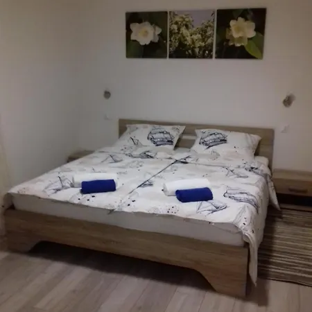 Center דירה נייביצה